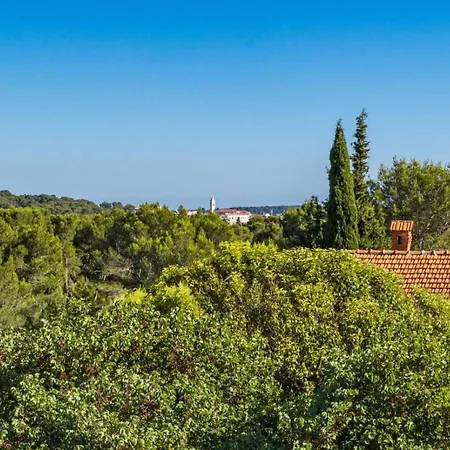 Appartement Maja Pula